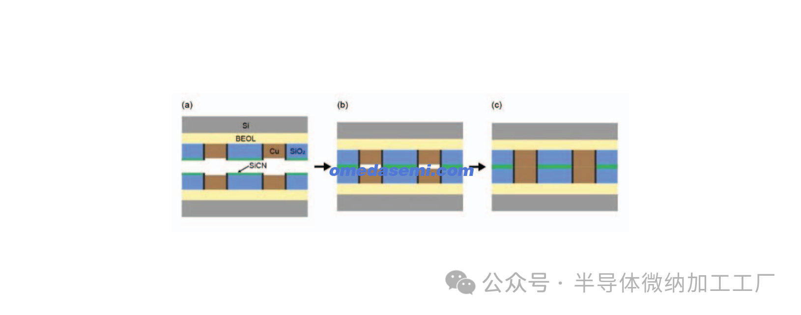 微信图片_20250421101926