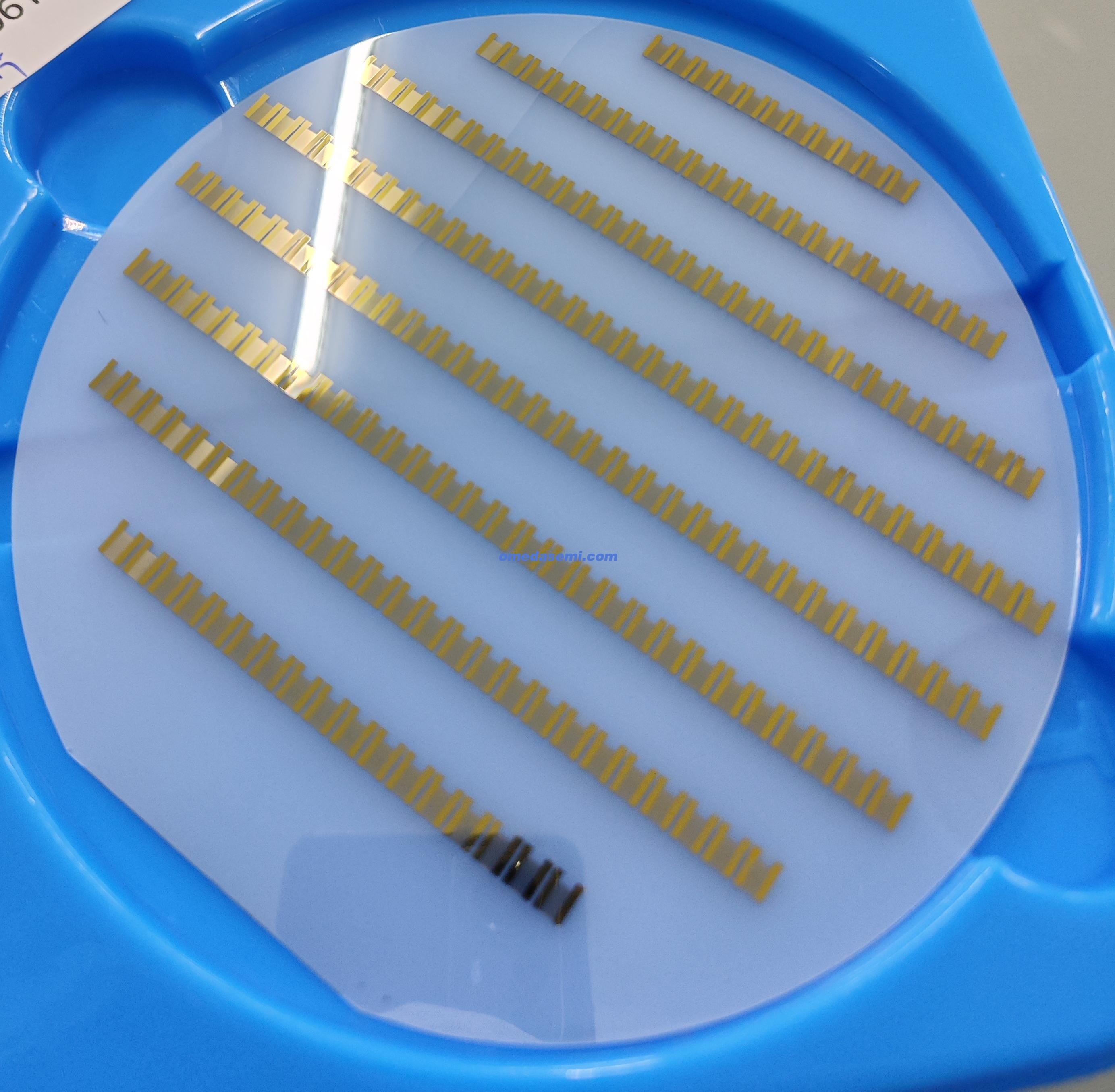 微信图片_20250901111646 微信图片_20250901111646