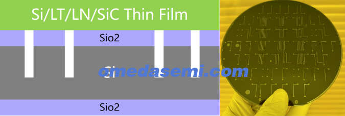f9aa3c42-a9f4-4c29-9f29-5fcab2350154 f9aa3c42-a9f4-4c29-9f29-5fcab2350154